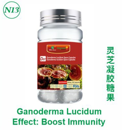 Ganoderma Lucidum